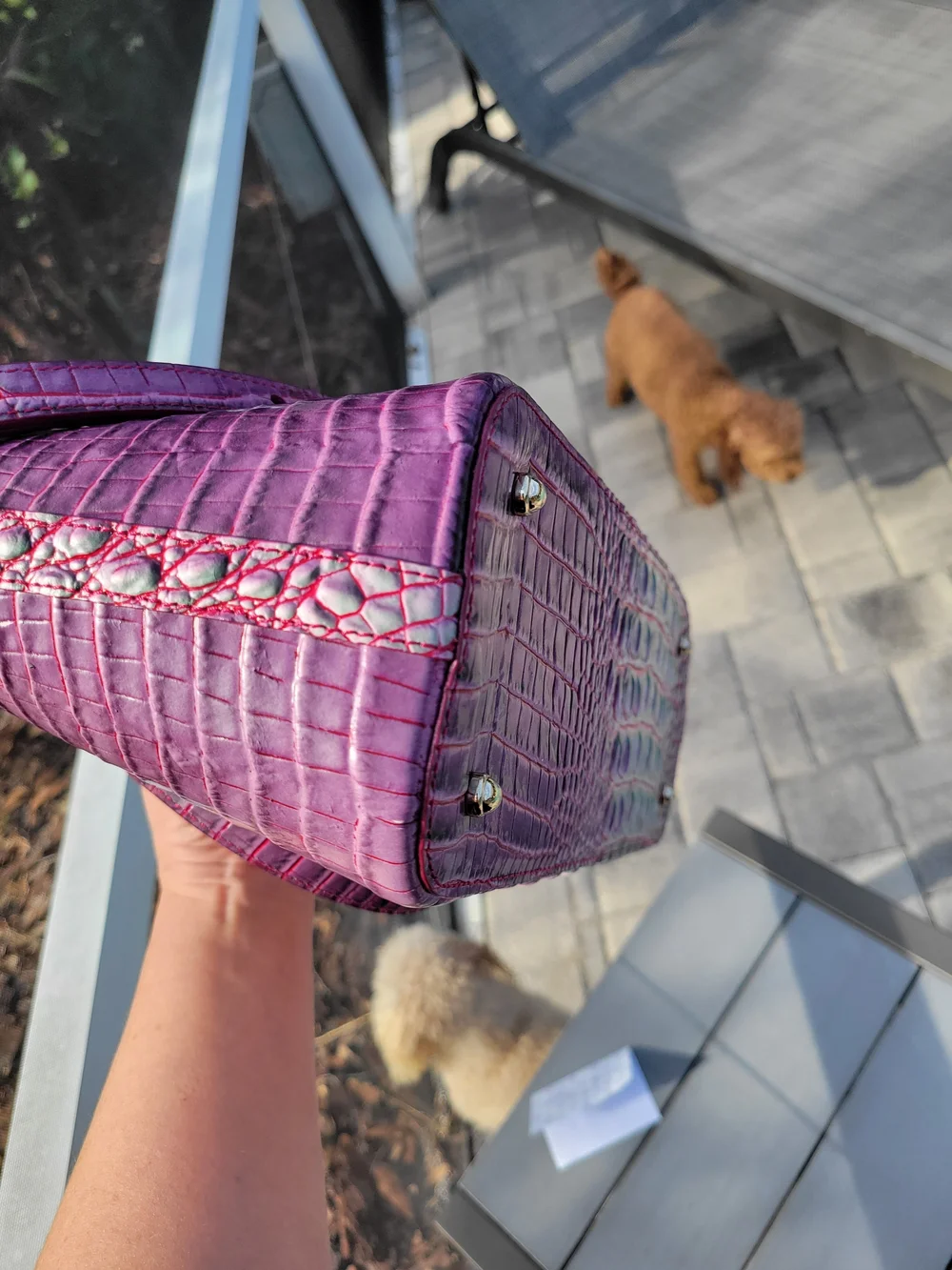 Brahmin Julep Mini-Asher EUC